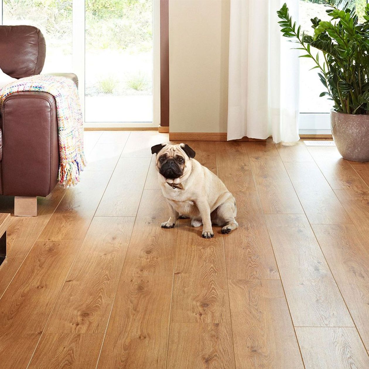 bed on a new wood floor